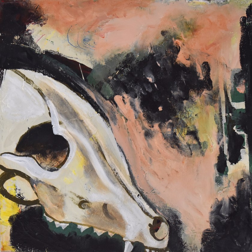  Coyote Skull #1 Medium Acrylic on wood Size 12 in X 12 in