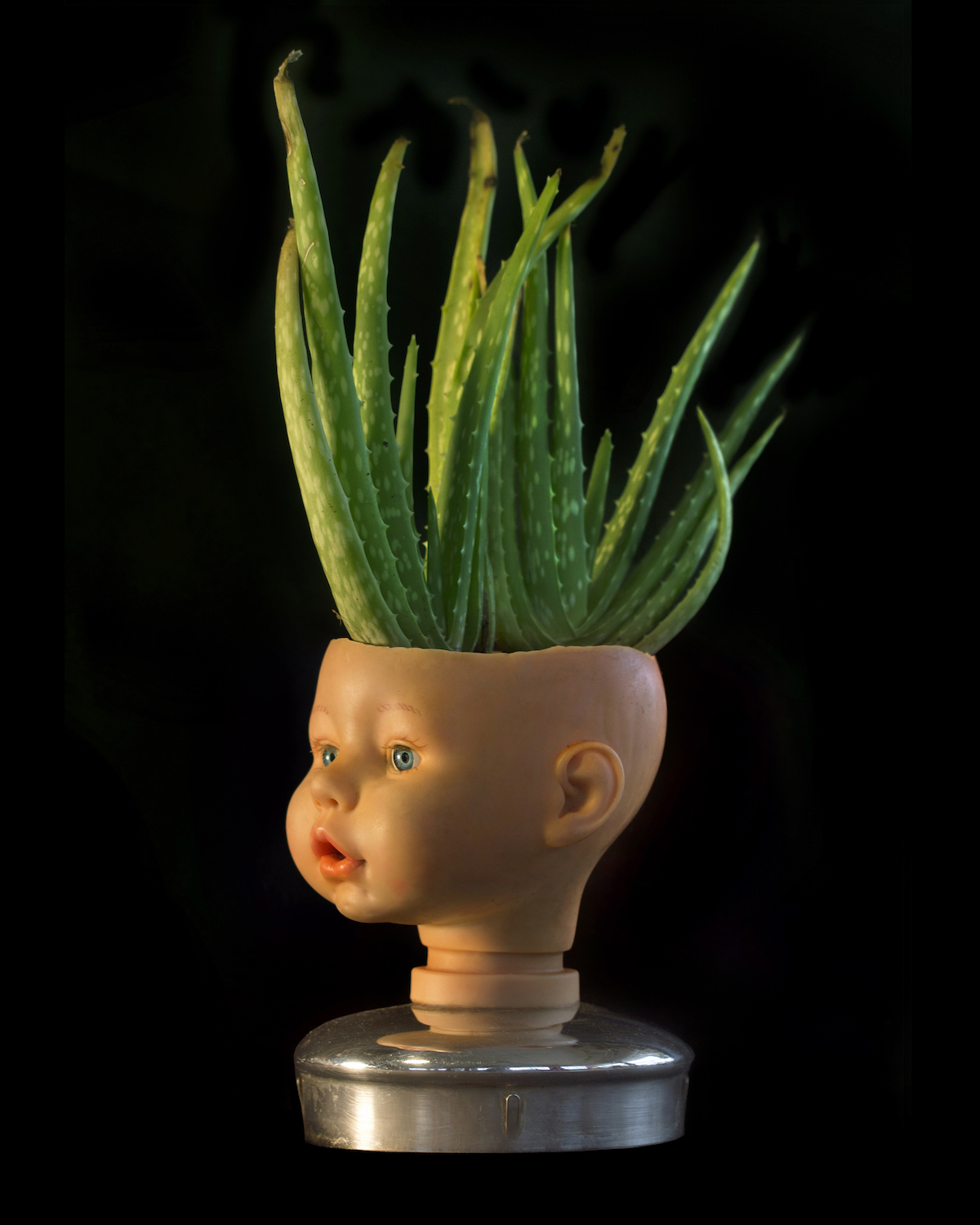 Title Baby Bud Medium Sculpture Size 6" x 5" x 1'