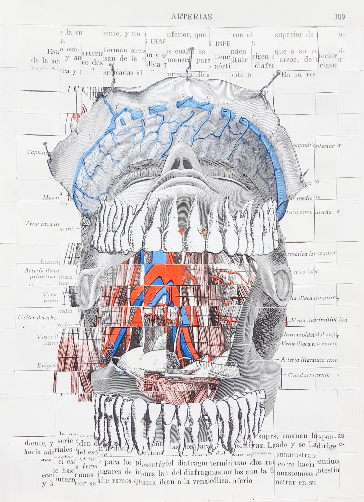  Jaws Of Life Medium Analog collage on hand woven pages Size 7" x 10"