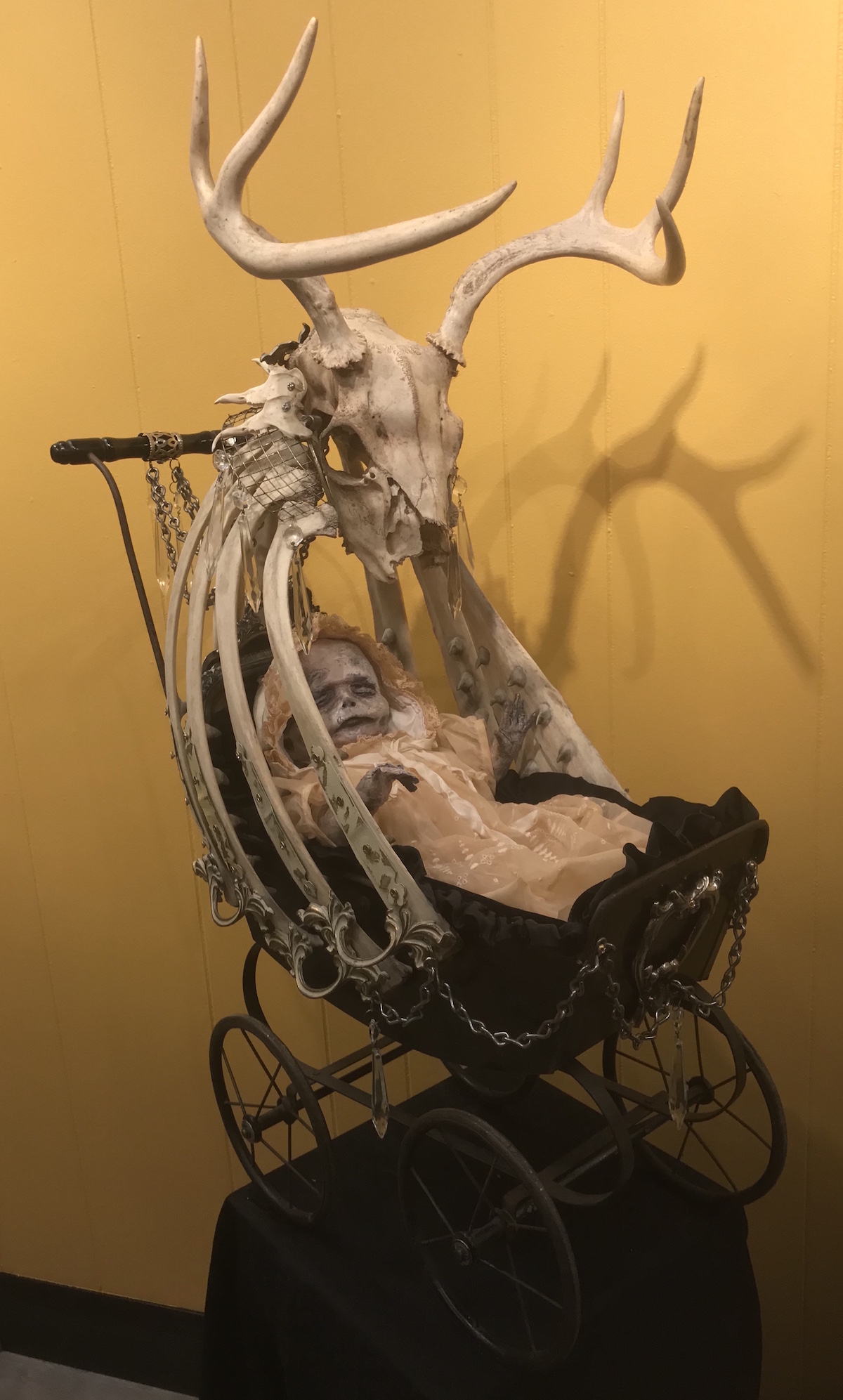 Featured Artist – Sue&nbsp;Moerder