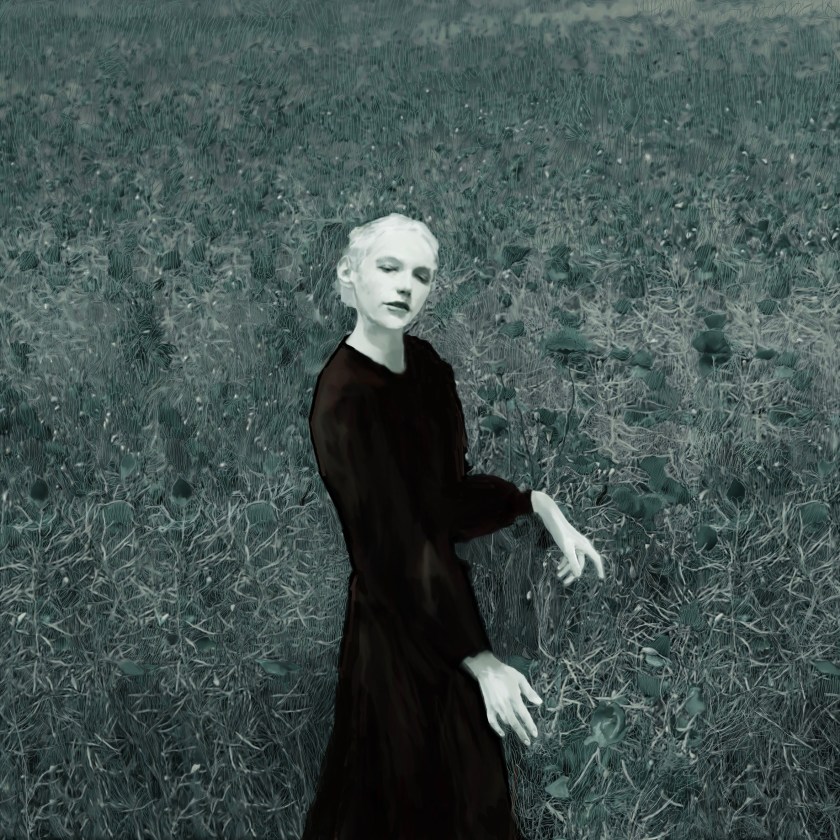 Black Poppies | digital photo collage & digital painting on hahnemühle (monotype) | 100 X 100 cm