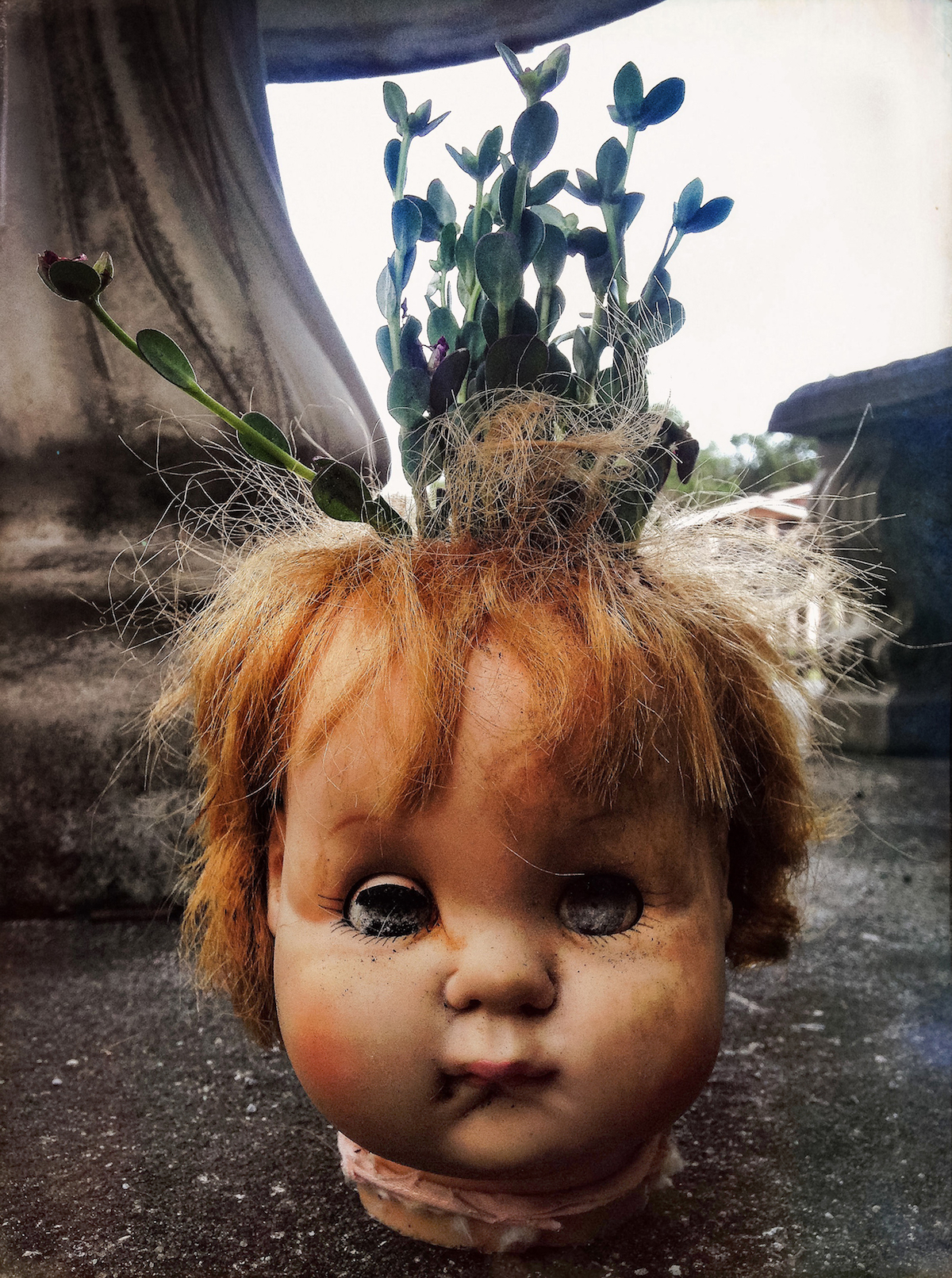 Title Purslane Medium Sculpture Size 7" x 6" x 11"