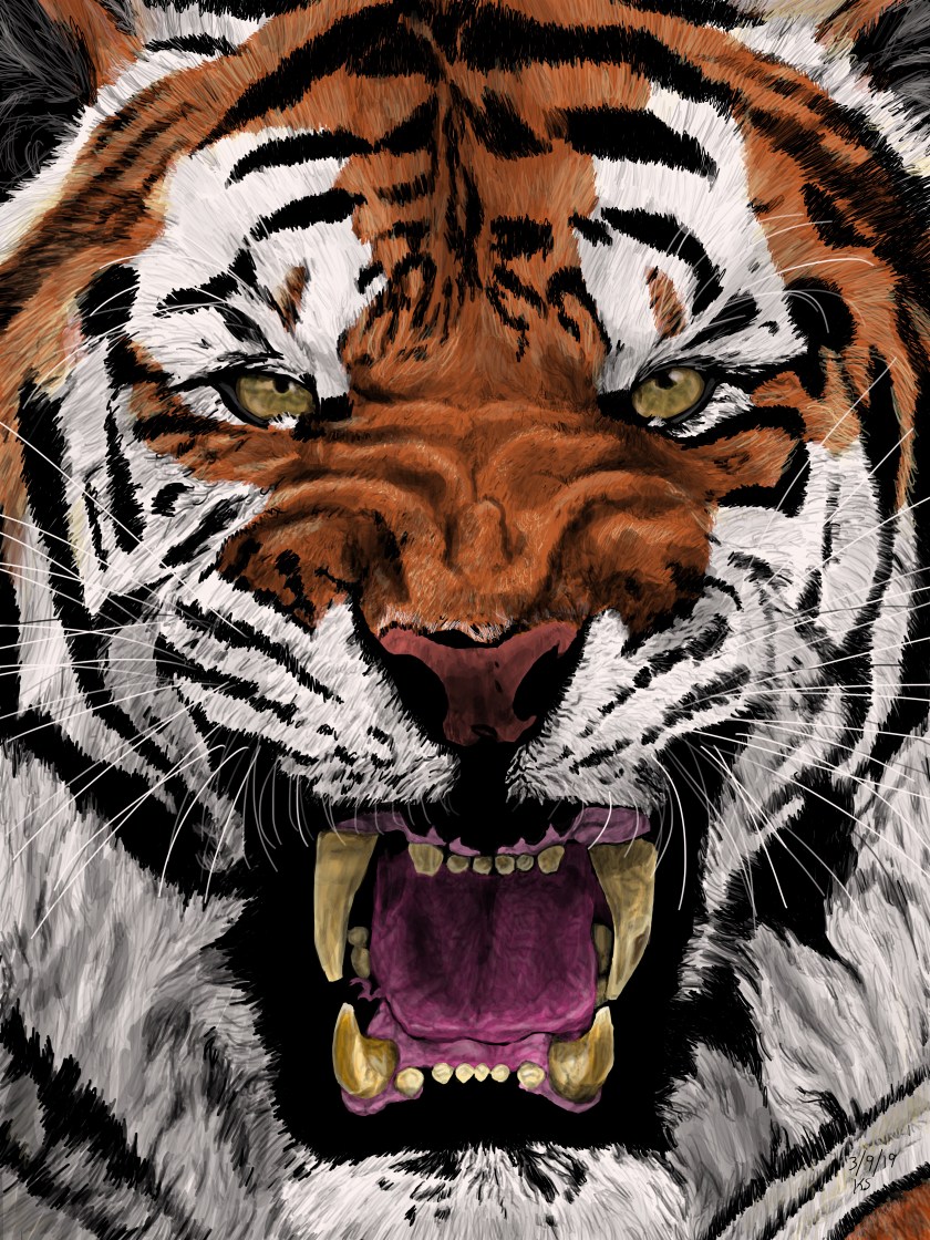  The Fury Within Medium Digital Drawing Size 9x12"