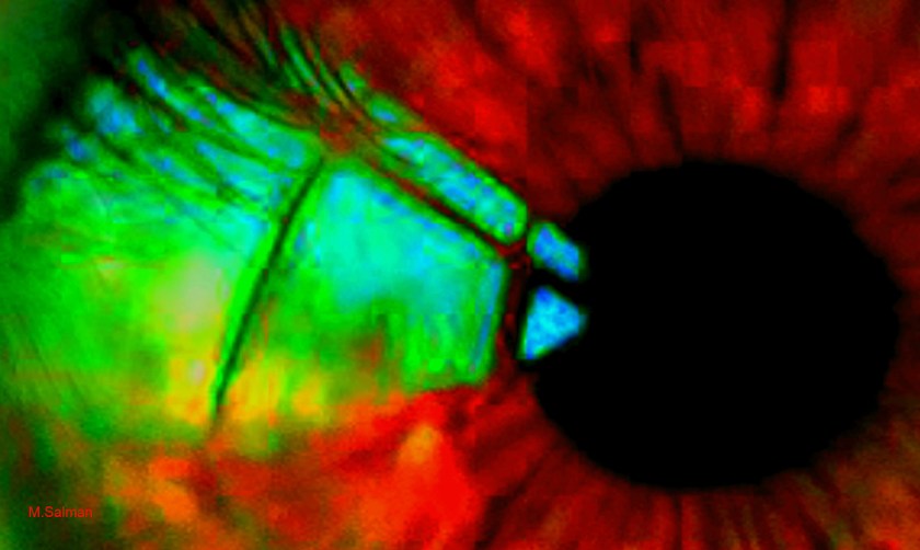  Horse Power | Digital Art